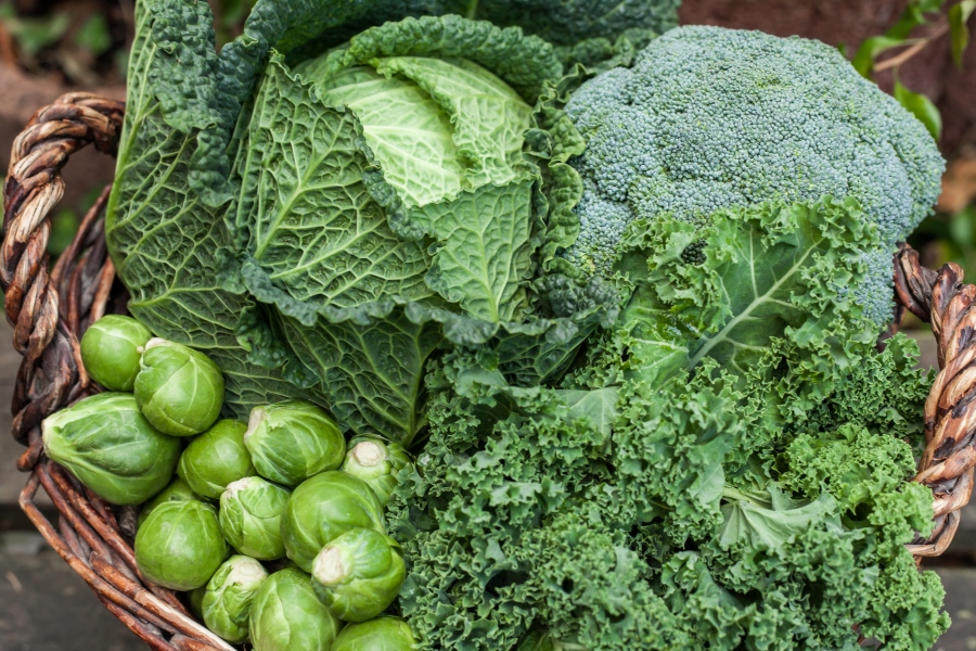 Grünes Gemüse: Rosenkohl, Wirsing und Brokkoli in einem Flechtkorb